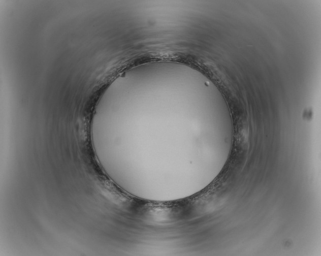 X0000091580658200709051101