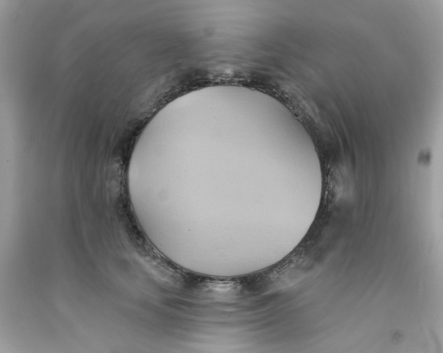 X0000091580659200709051101