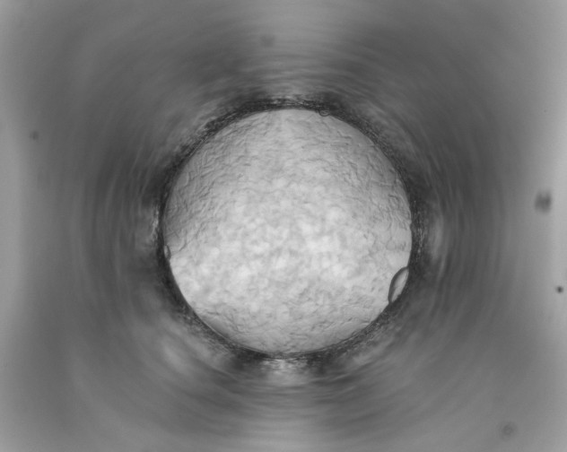 X0000091580660200709051101