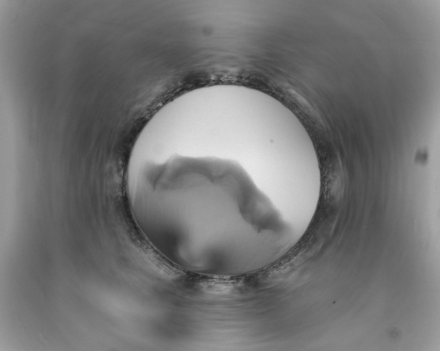 X0000091580661200709051101