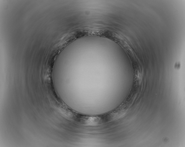 X0000091580663200709051101