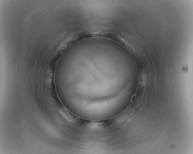 X0000091580664200709051101