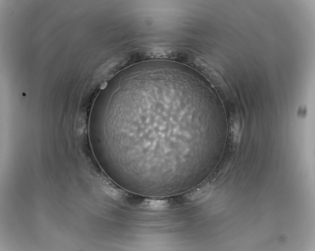 X0000091580665200709051102