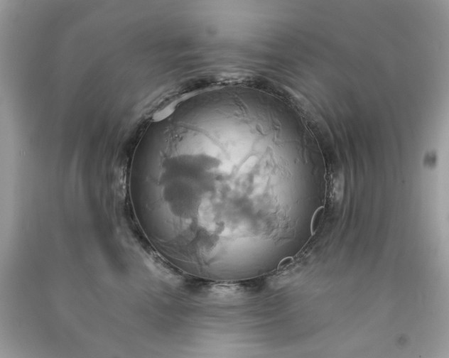 X0000091580666200709051102