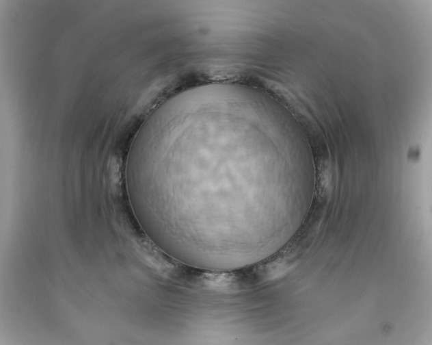 X0000091580667200709051102