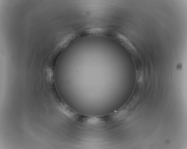 X0000091580669200709051102