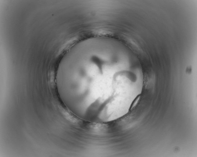 X0000091580670200709051102