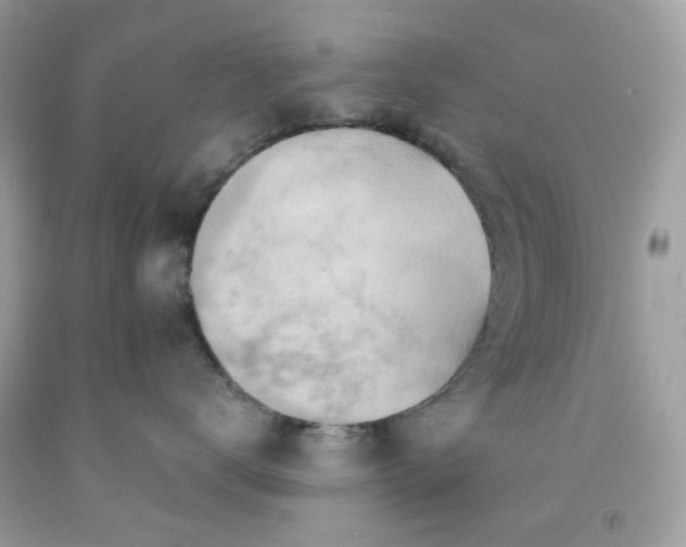 X0000091580672200709051102