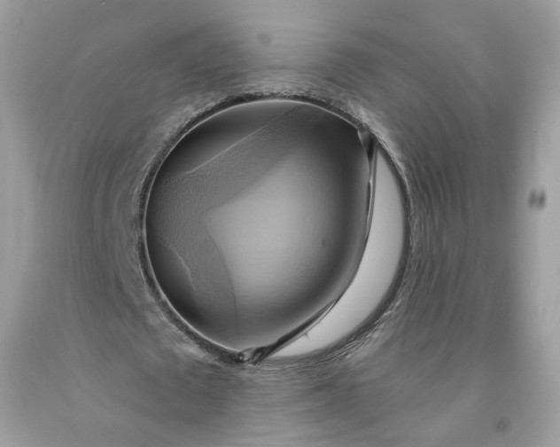 X0000091580673200709051101