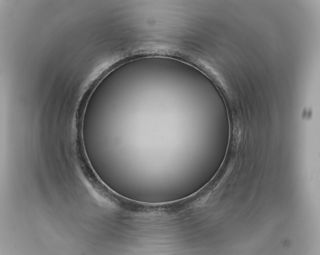 X0000091580674200709051101