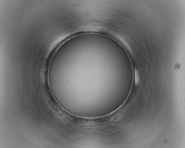 X0000091580675200709051101