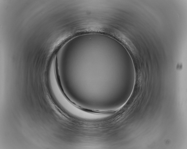 X0000091580677200709051101