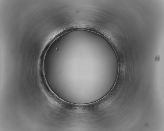 X0000091580678200709051101