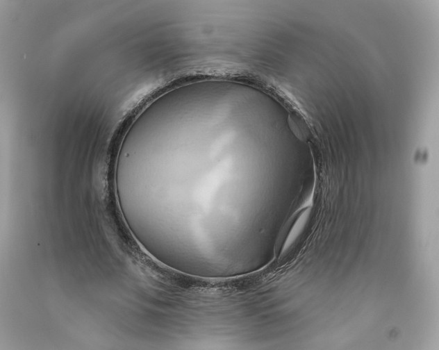 X0000091580679200709051101