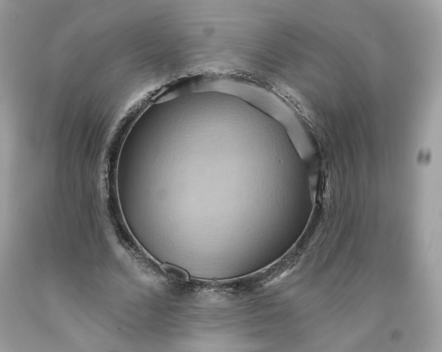 X0000091580680200709051101