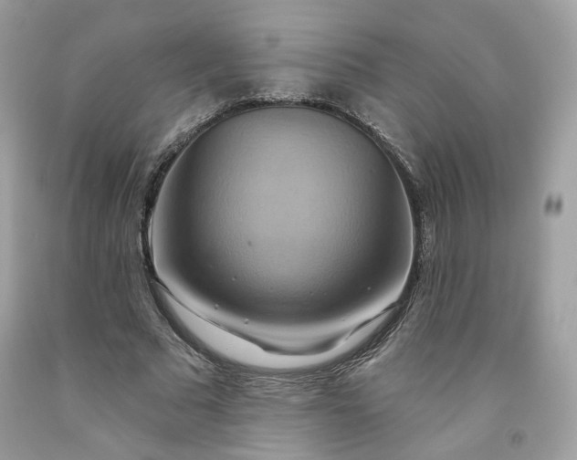 X0000091580681200709051101