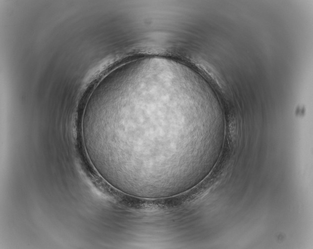 X0000091580682200709051101