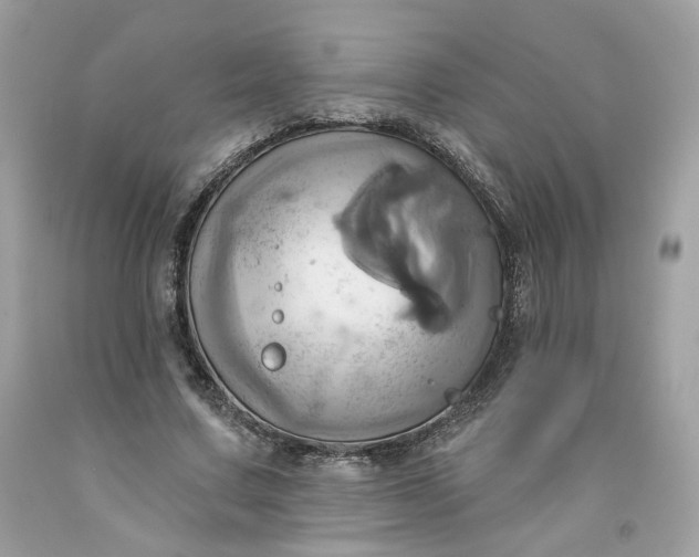 X0000091580683200709051101