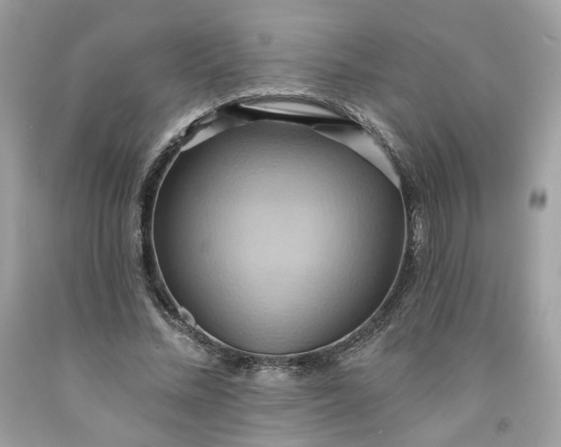 X0000091580684200709051101