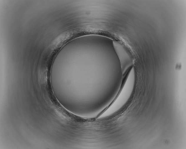 X0000091580685200709051101