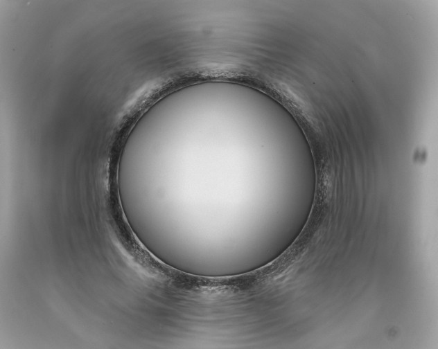 X0000091580686200709051101