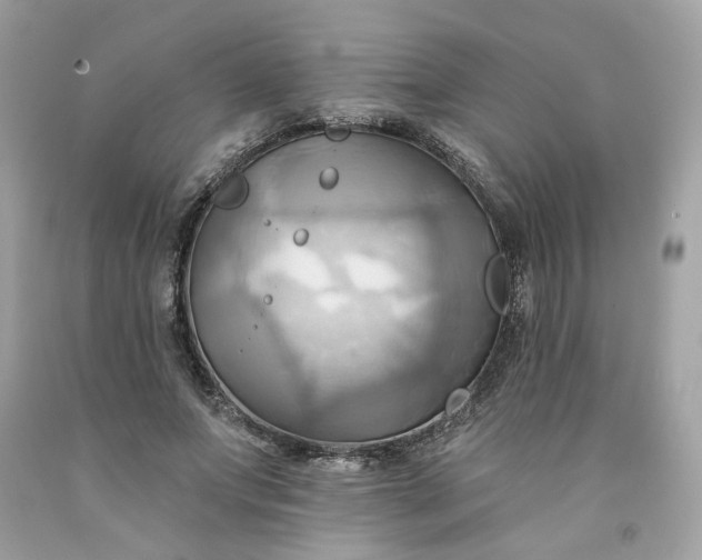 X0000091580687200709051101