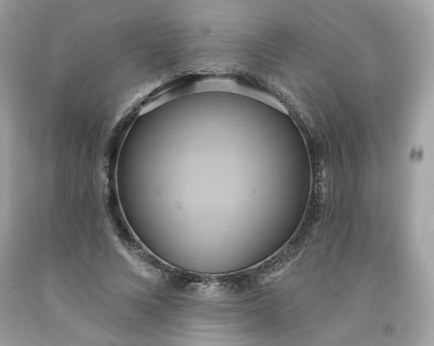 X0000091580688200709051101