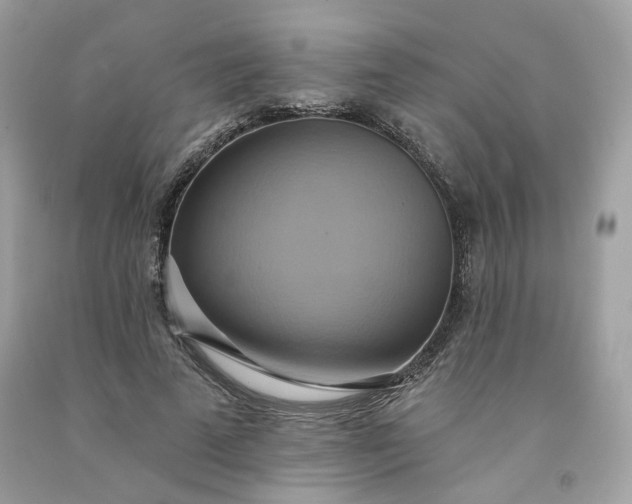 X0000091580689200709051101