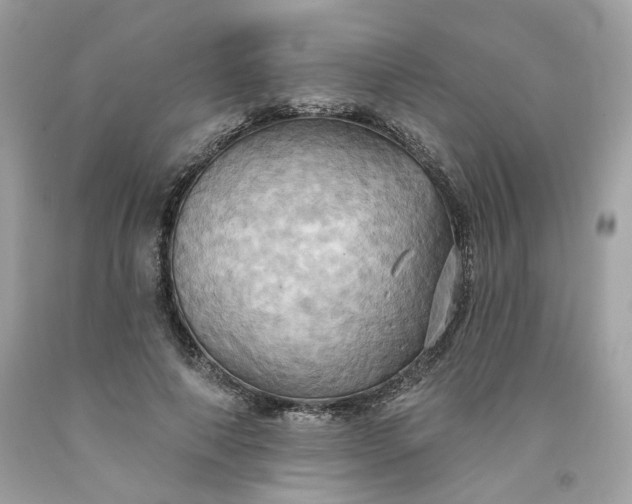 X0000091580690200709051101