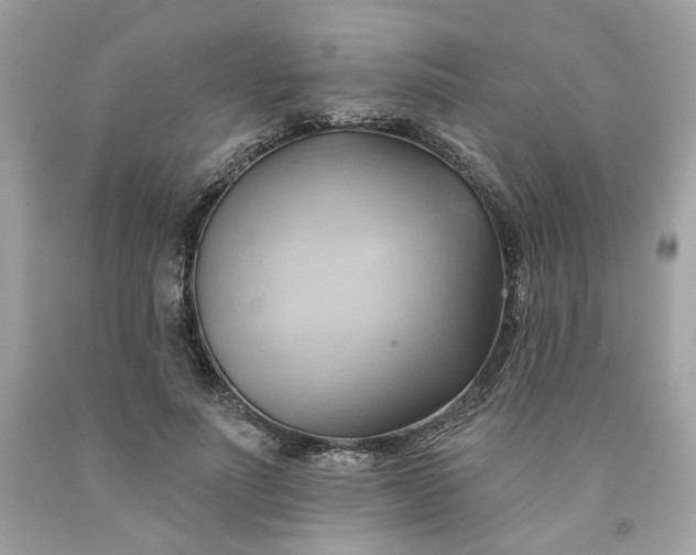 X0000091580691200709051101