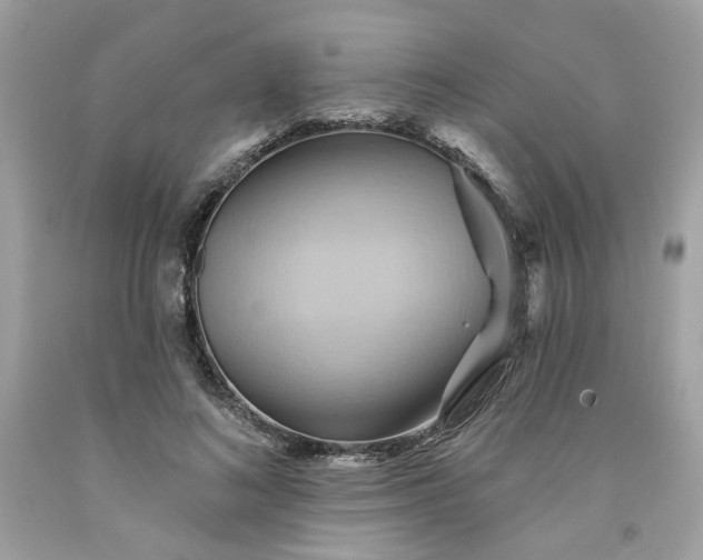 X0000091580692200709051101