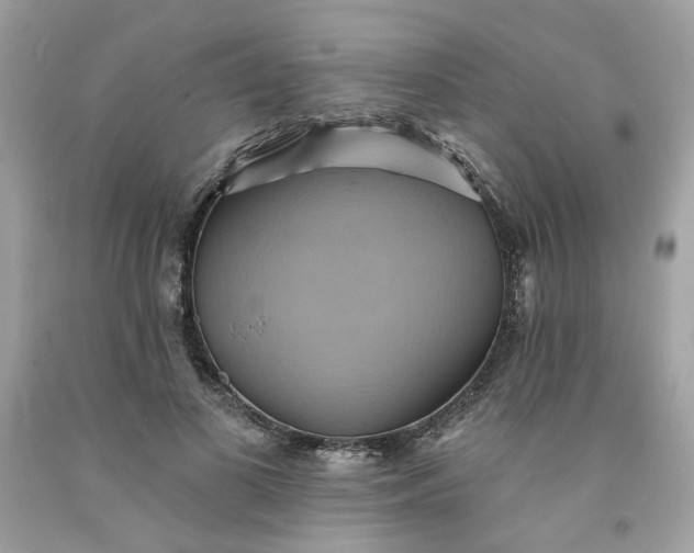 X0000091580693200709051101