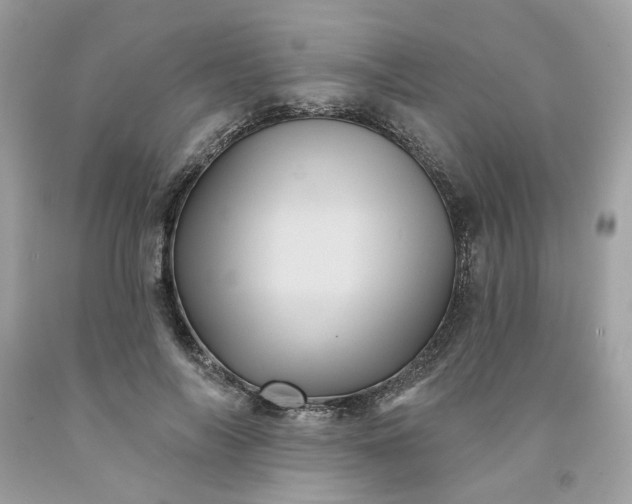 X0000091580694200709051101