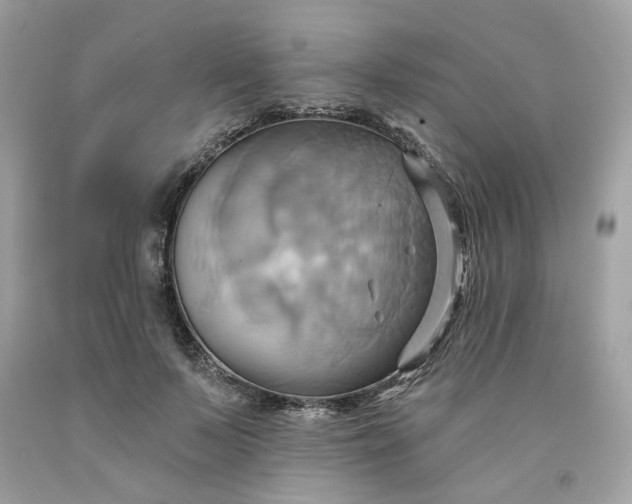 X0000091580695200709051101