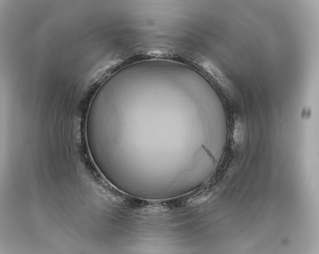 X0000091580696200709051101