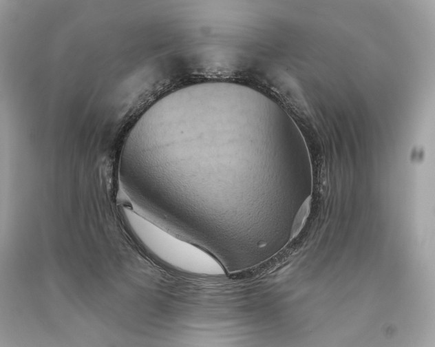 X0000091580697200709051101