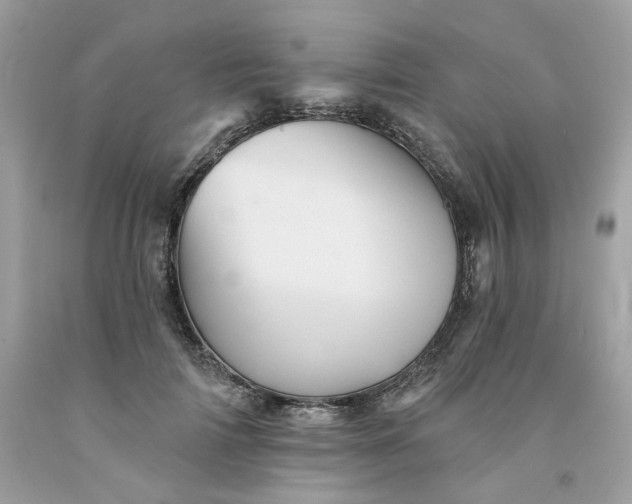 X0000091580698200709051101