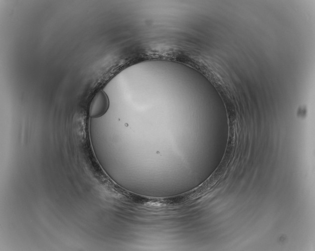 X0000091580699200709051101