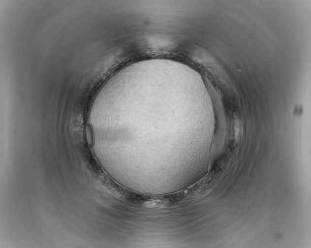 X0000091580700200709051101