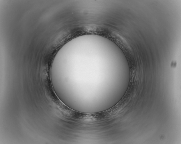 X0000091580702200709051101