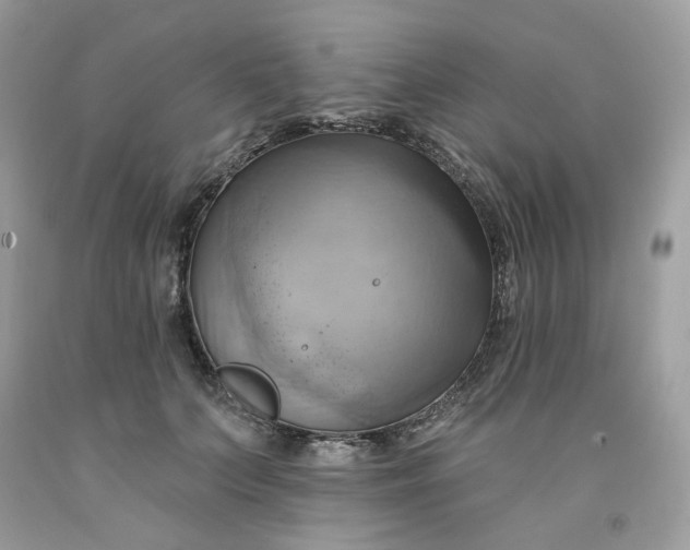 X0000091580703200709051101