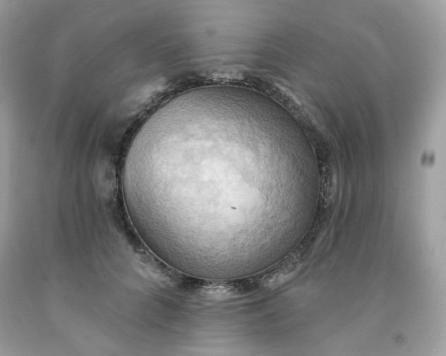 X0000091580704200709051101