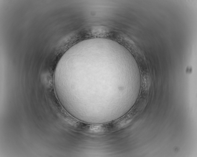 X0000091580705200709051101