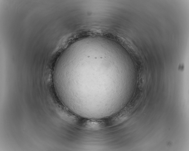 X0000091580706200709051101