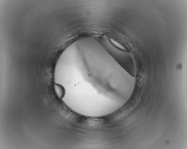 X0000091580707200709051101