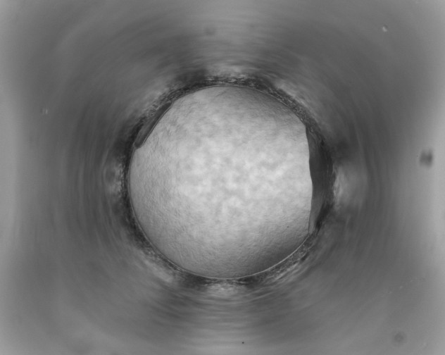 X0000091580708200709051101