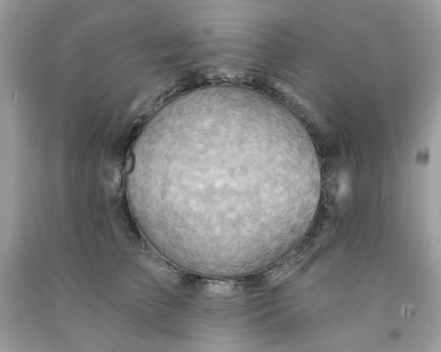 X0000091580709200709051101