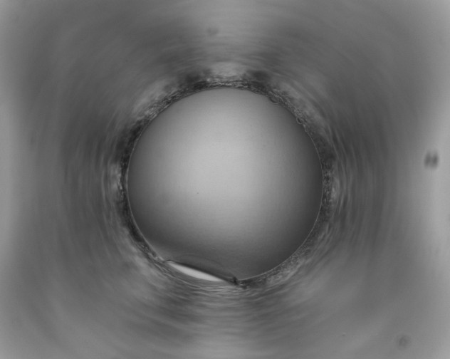 X0000091580711200709051101