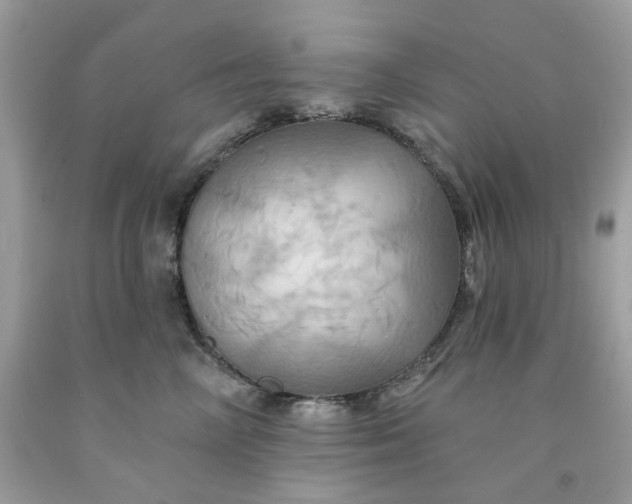 X0000091580714200709051100