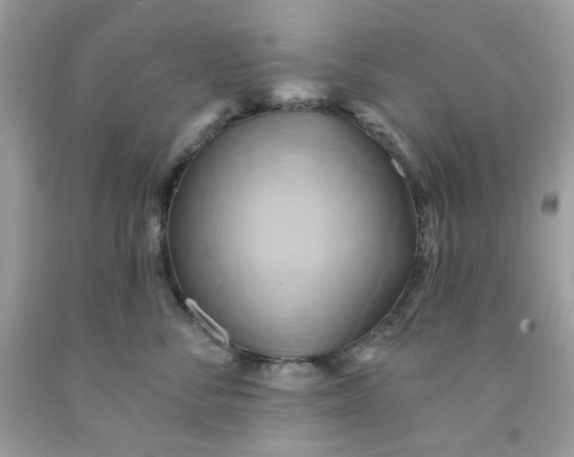 X0000091580716200709051100